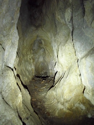 Jeskyn . 1231 - nasvceno jen jedinou baterkou