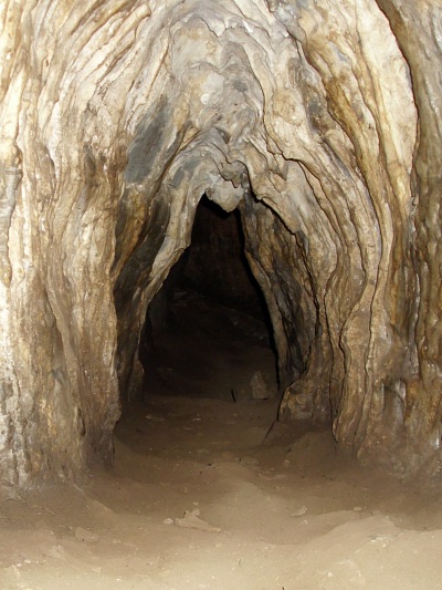 Jeskynn plazivka - foceno s vestavnm bleskem
