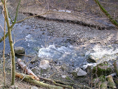 Potok Bílá voda za jarního tání