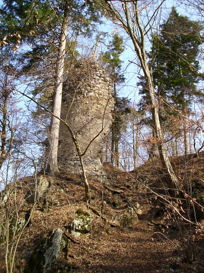 Zřícenina hradu Holštejn - hradní věž