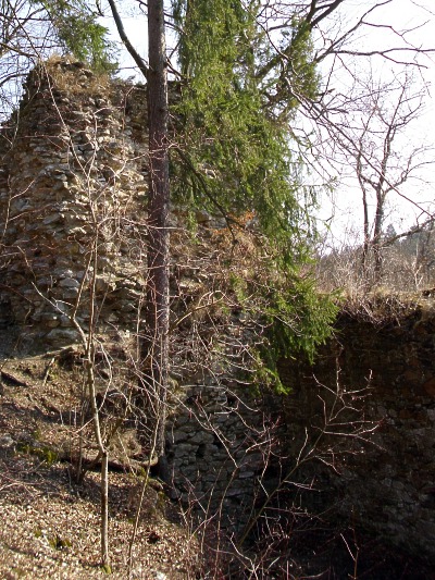 Hrad Holštejn - zbytky hradeb
