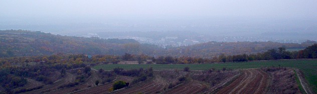 Výhled z rozhledny - Židlochovice