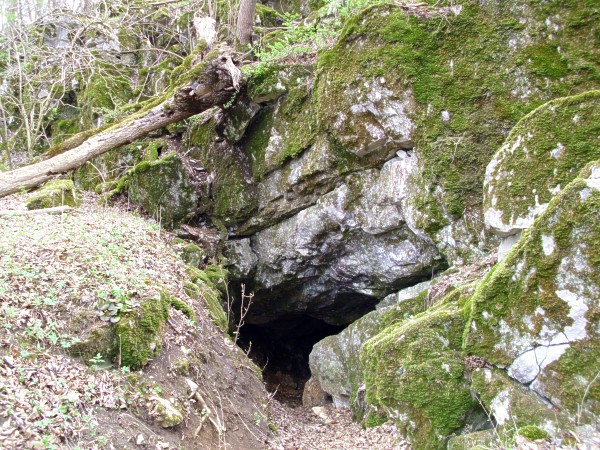 Jezev jeskyn - vstup