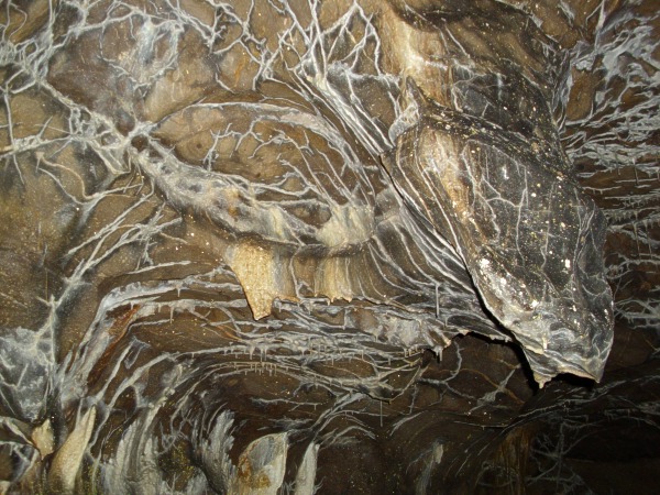 ilkovan strop Ochozsk jeskyn