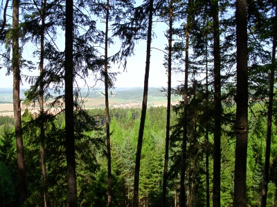 Les mezi Kladoruby a Paměticemi - výhled směr Kochov