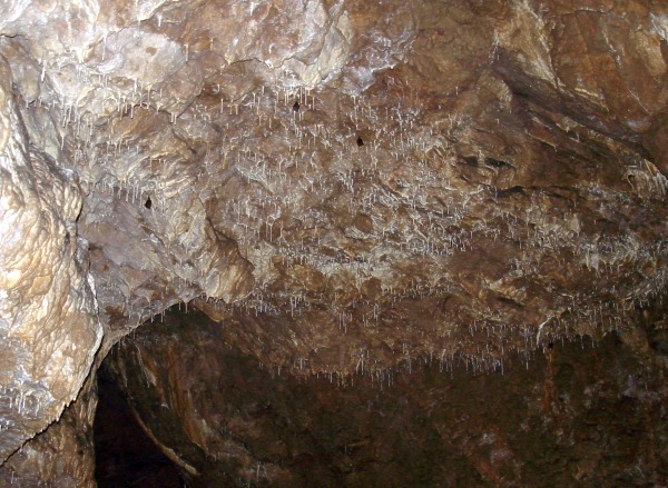 Málčina jeskyně - brčková výzdoba Blátivého dómu
