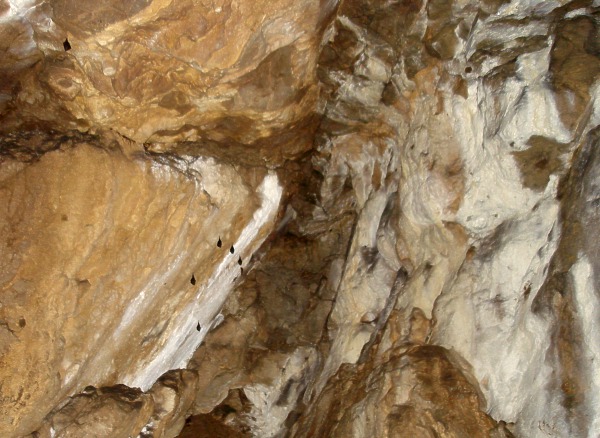 Malčina jeskyně - netopýři v Kamenitém dómu