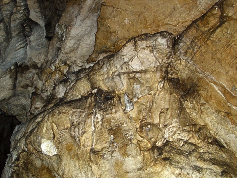 Jeskyn Netoprka - sintrov nteky v druhm dmu