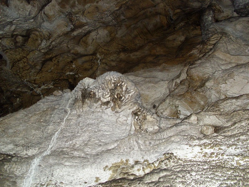 Jeskyn Netoprka - sintrov houba v 2. dmu