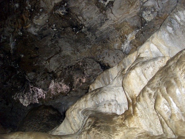 Jeskyně Netopýrka - sintrová terasa v zadním dómu