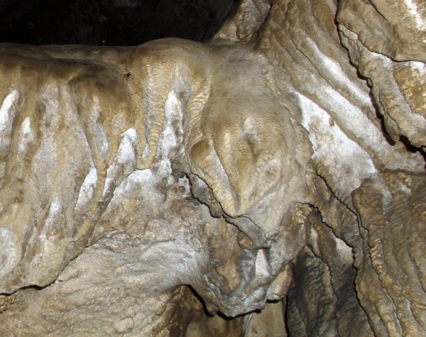 Jeskyně Netopýrka - výzdoba zadního dómu - chobotnice