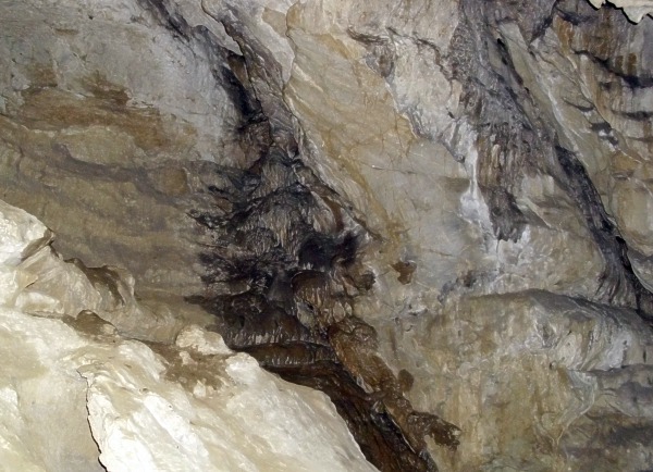 Jeskyně Jáchymka - tmavý sintropád